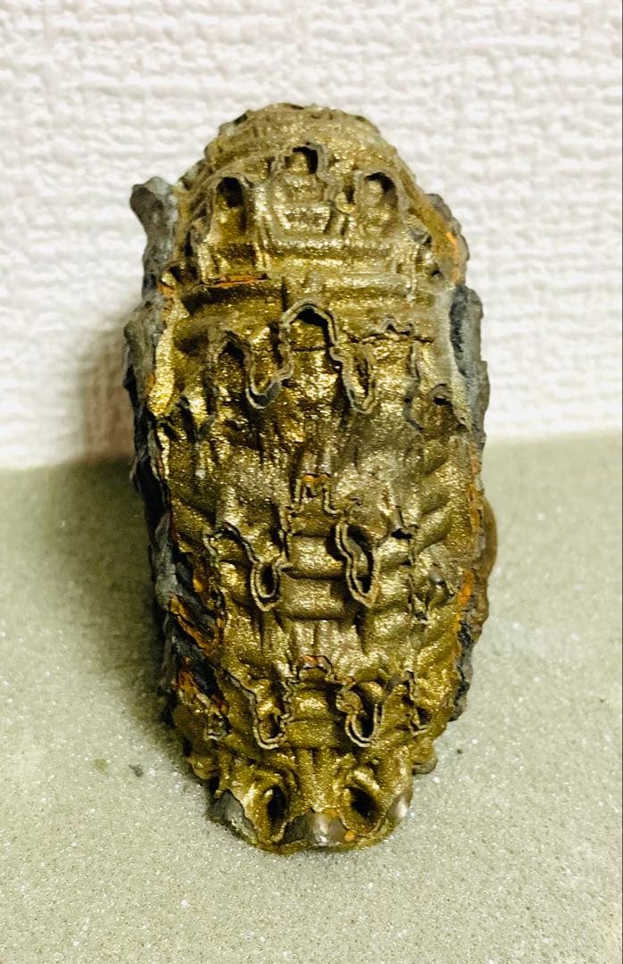 黄鉄鉱化アンモナイト 化石 大型