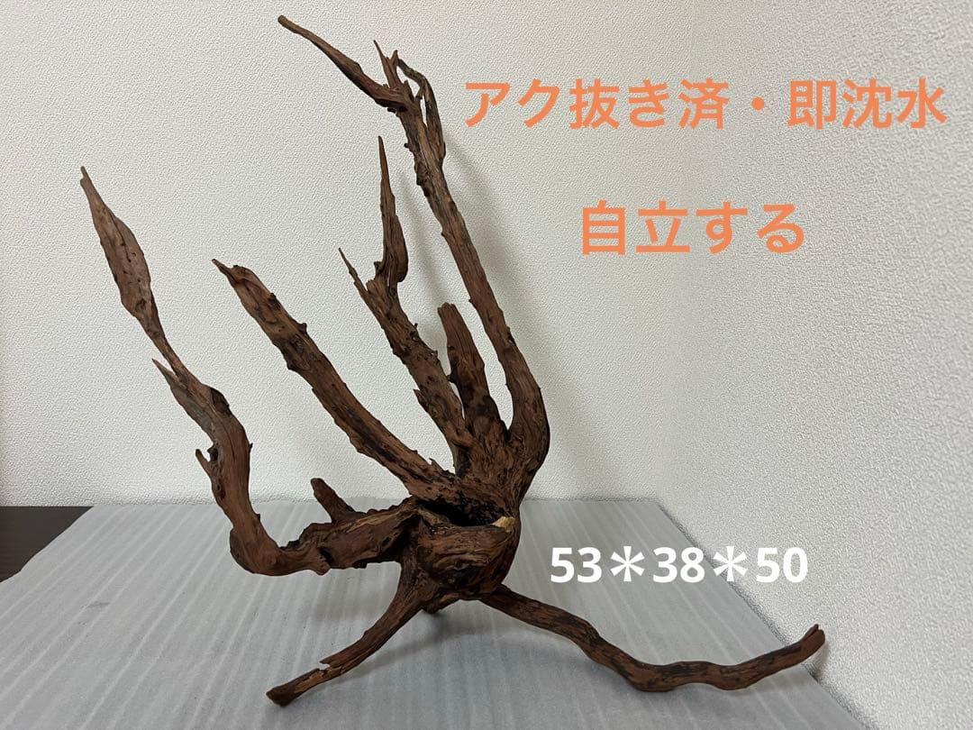 HX-083 流木　ホーンウッド　マシンガンウッド　アクアリウム　ブランチウッド