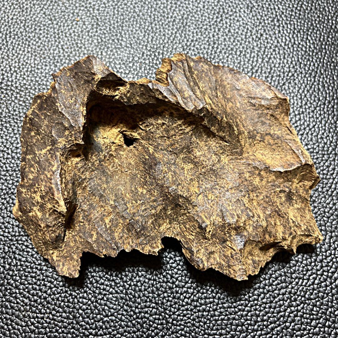 天然ベトナム産馬蹄形沈香木