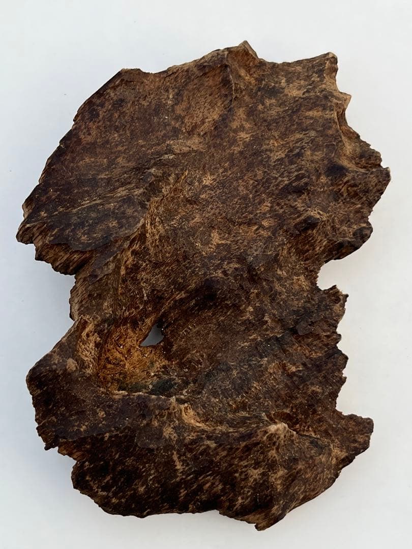 天然ベトナム産馬蹄形沈香木