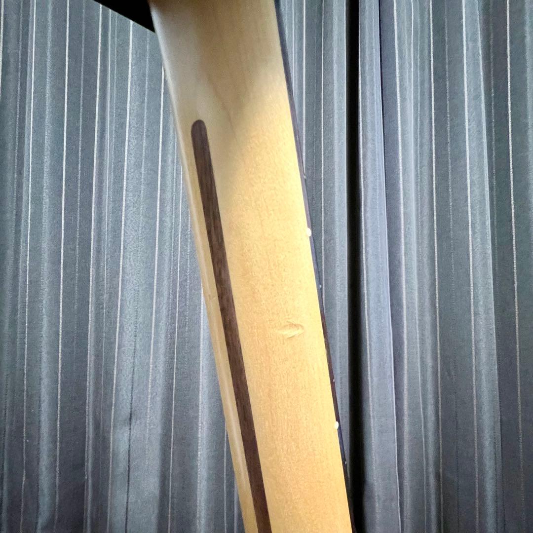 ギター Fender American Professional II Strato