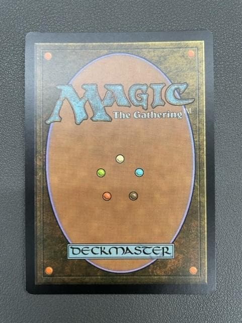 食物連鎖　英語　プロモFoil