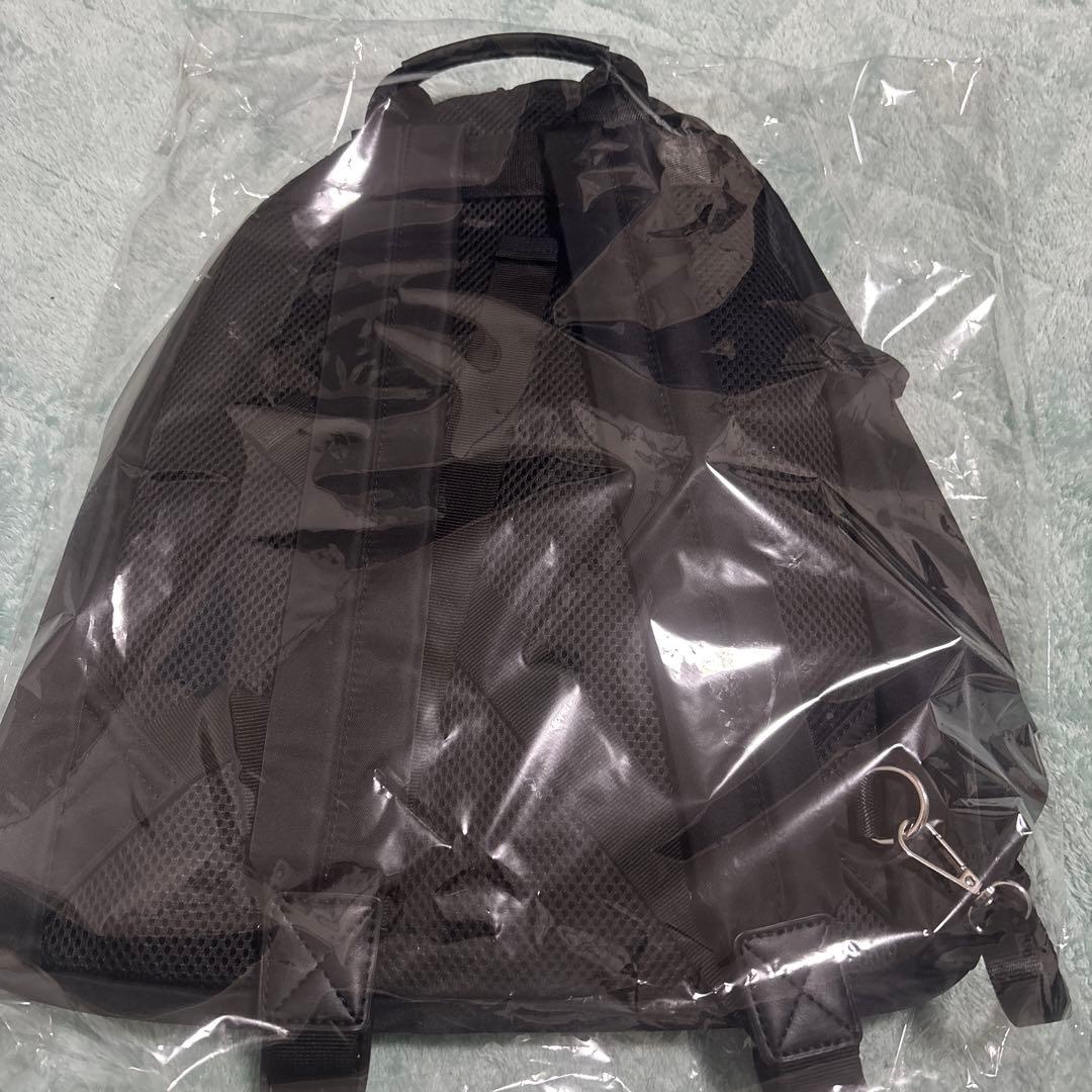 平沢進 核P-MODEL unZIP リュック