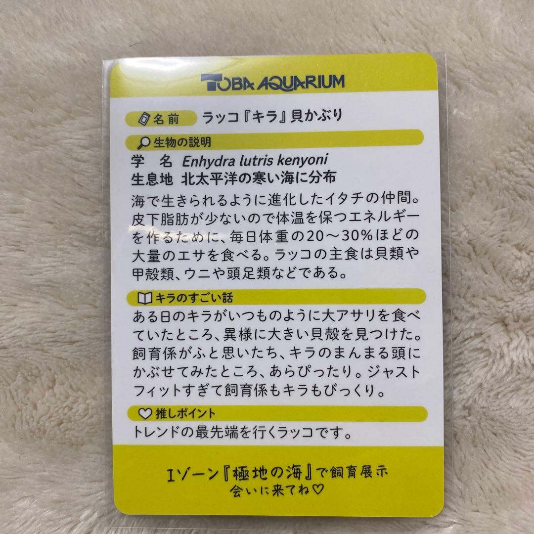 鳥羽水族館　コレクションカードキラ レアカード