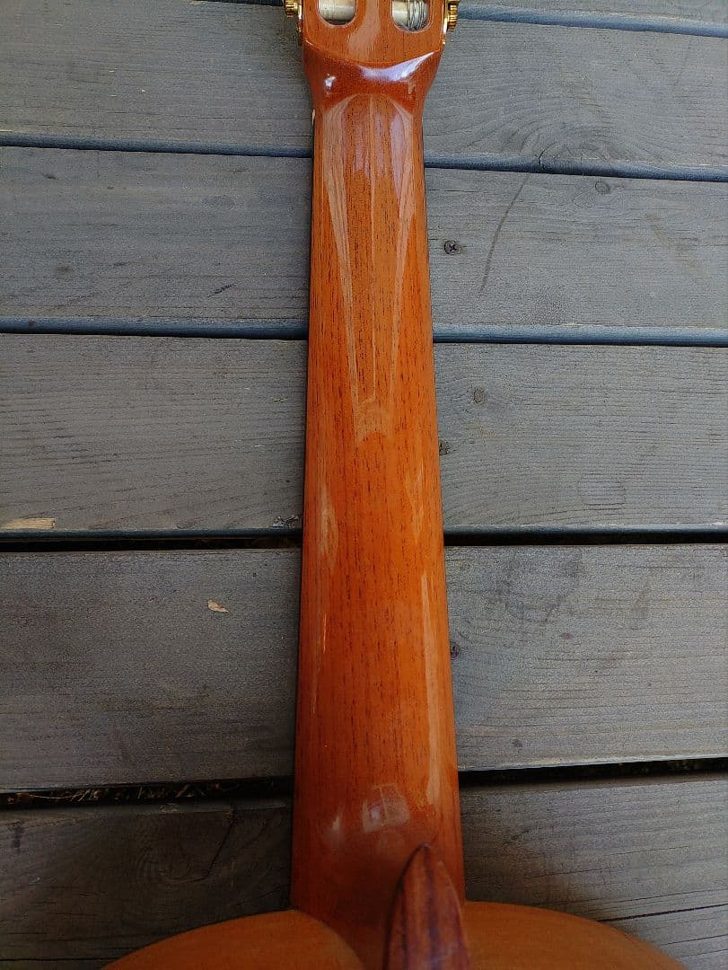 アコースティック ギター アリア A-100F フラメンコギター