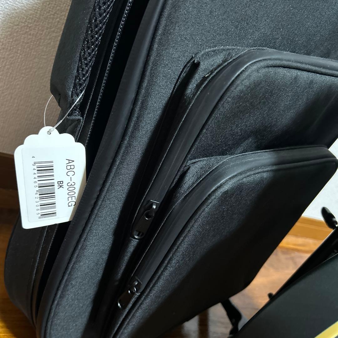 綾*ェ様 フジゲン SNLS101 限定モデル Neo Classic レスポー