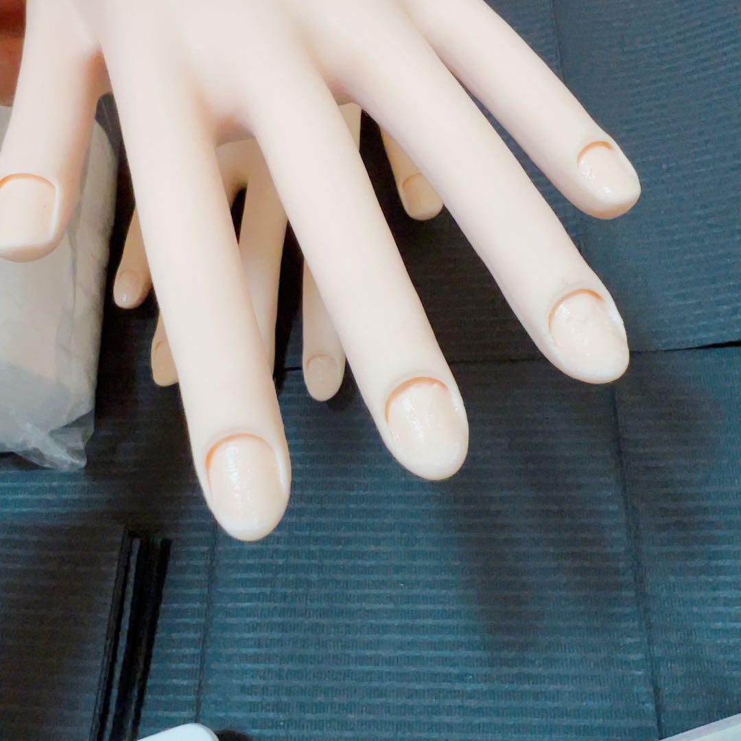 JNEC認定モデルハンド　ファイル　シャイナー　テーブルペーパー　ガーゼ　セット