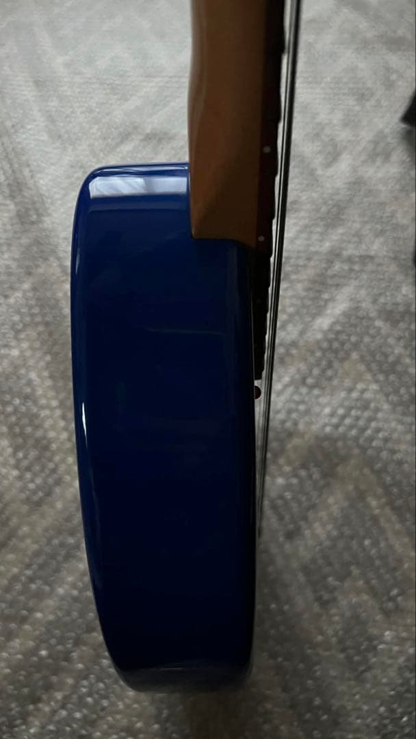 FERNANDES ZO-3 (ブルー )専用ケース