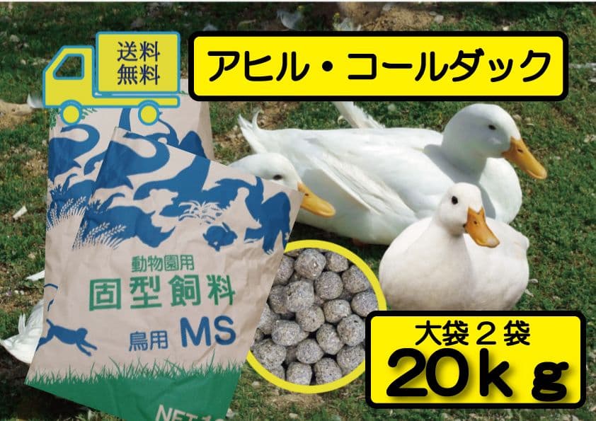 SALE送料無料【水鳥•アヒル•コールダック用飼料】20kg 大特価