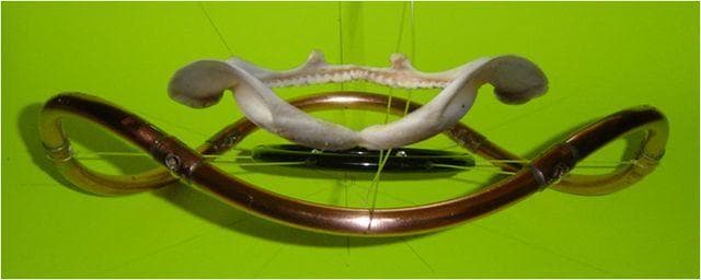 話題の四角ウィール使用　CX4同機能トラック　サーフスケート　足回りセット