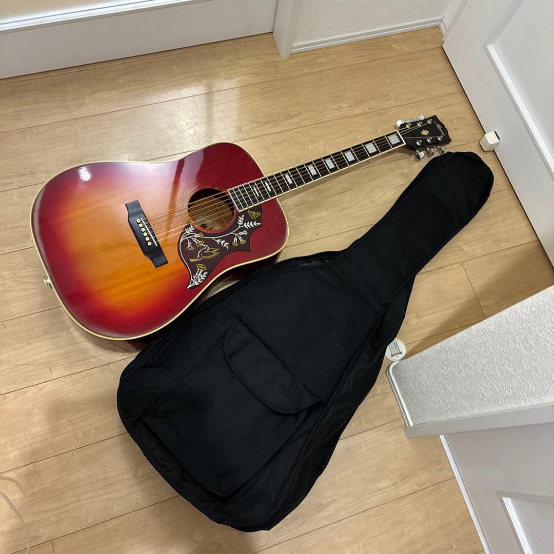 激レア！Morris(モーリス）WH-20ハミングバードタイプ　弦高調整済みです