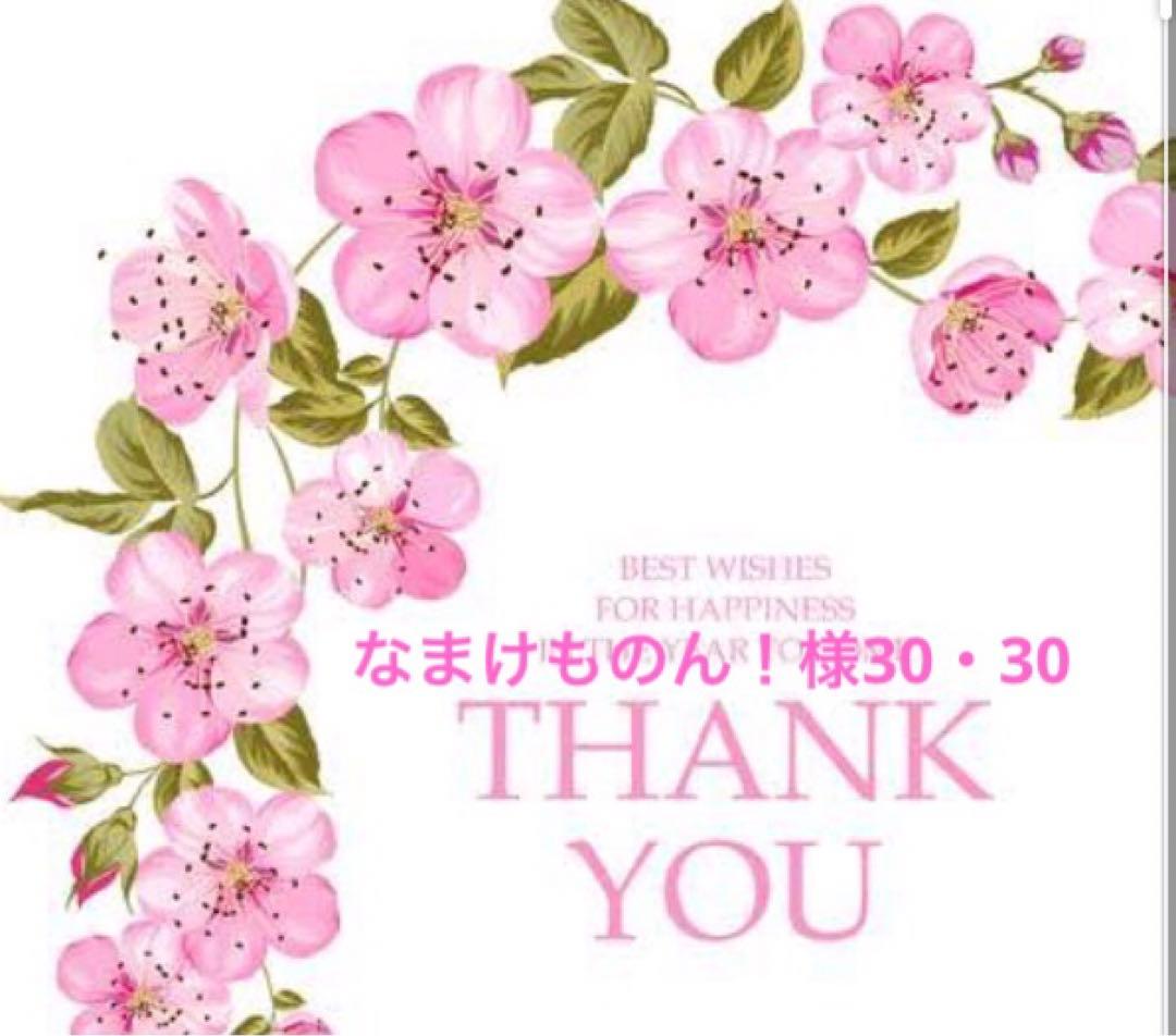 なまけものん！様30:30