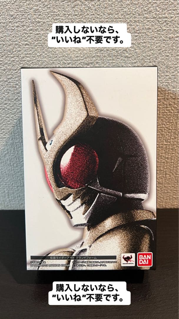真骨彫製法 仮面ライダーアギト 美中古品 付属品完備