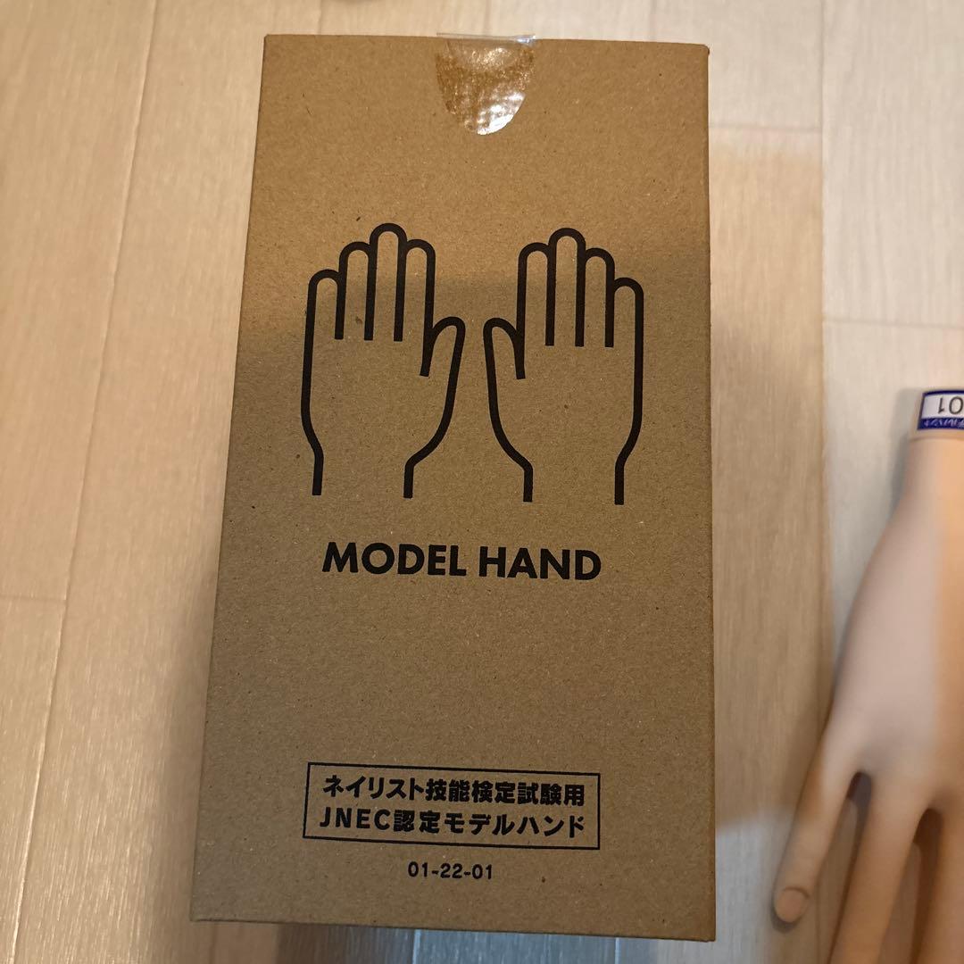 JNEC 認定モデルハンド 2個セット　骨折なし
