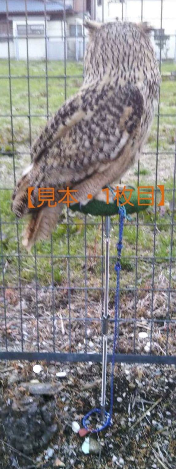 ふくろう　ファルコンステンレススパイクタイプ　お出かけ用　分解式　ハンドメイド