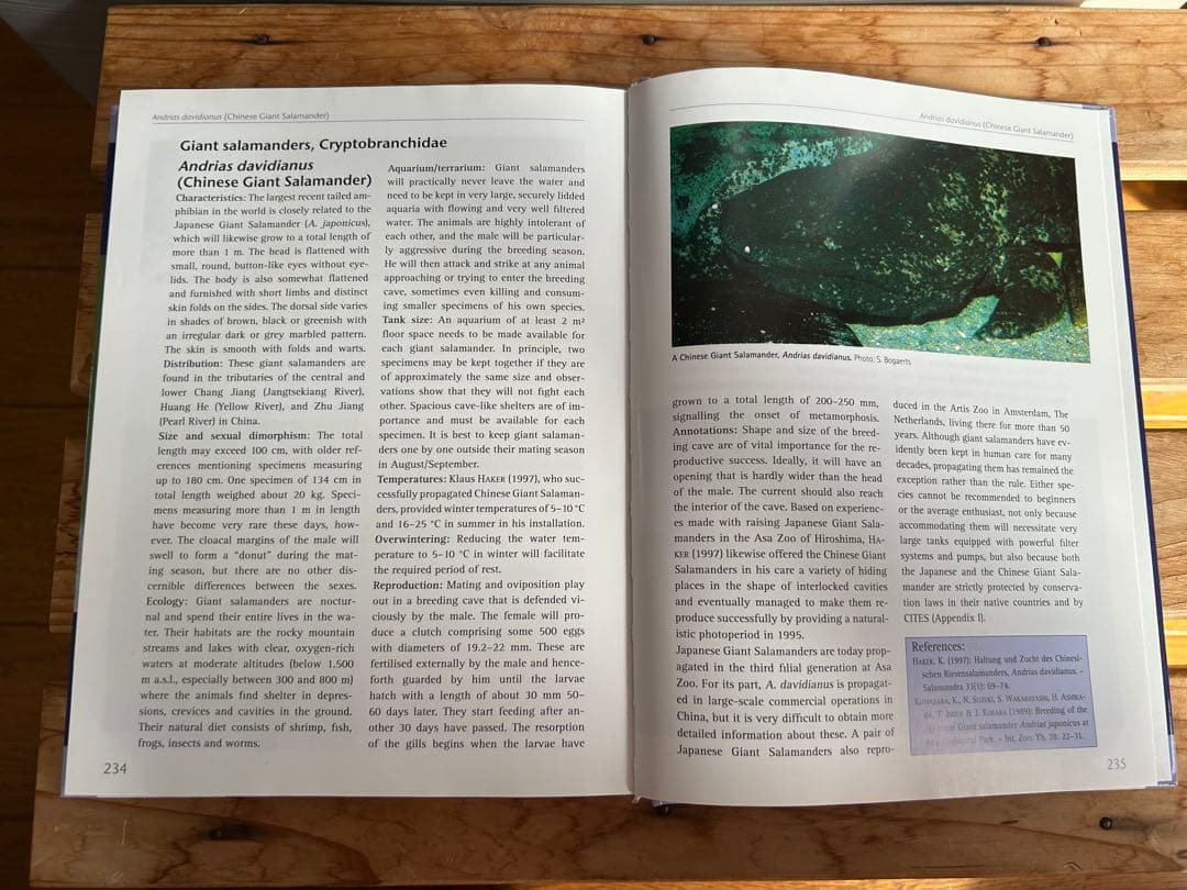 【送料無料】有尾類 イモリ サンショウウオ 爬虫類 両生類 洋書 図鑑 専門書