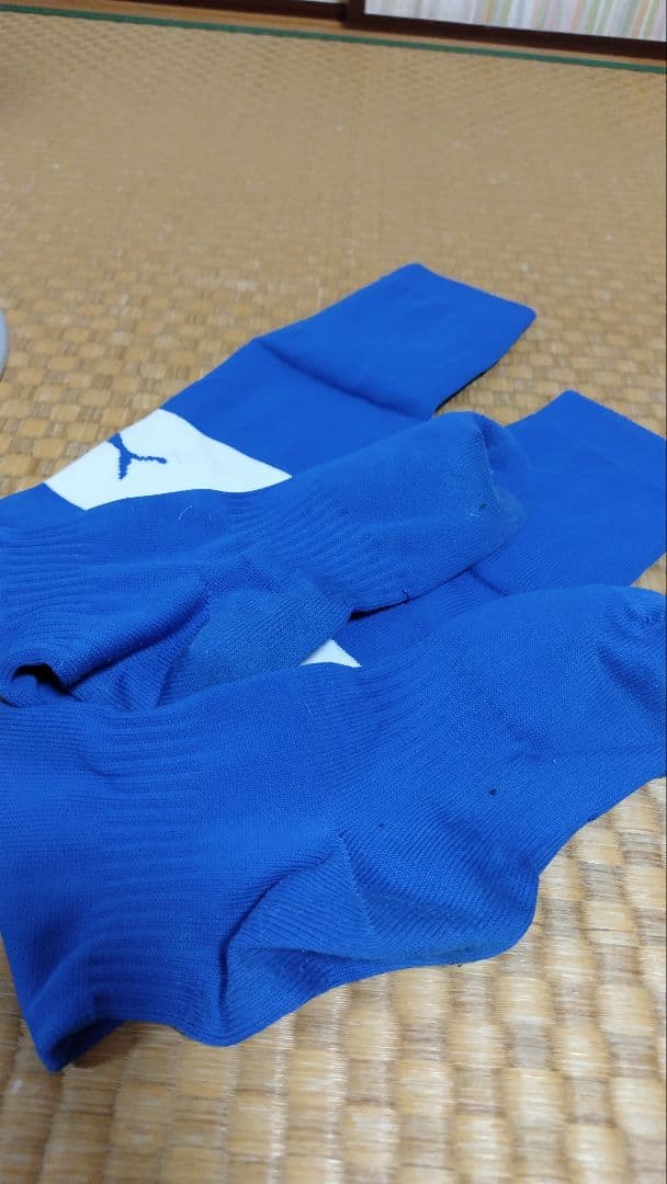 静岡県選抜 国体 FPユニホーム PUMA