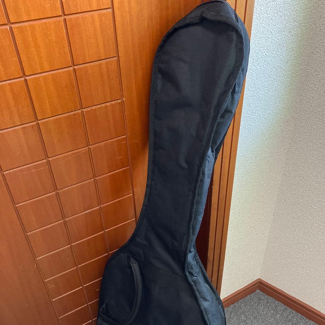 GrassRoots グラスツール　エレキギター　アクアブルー　G-SE-50R