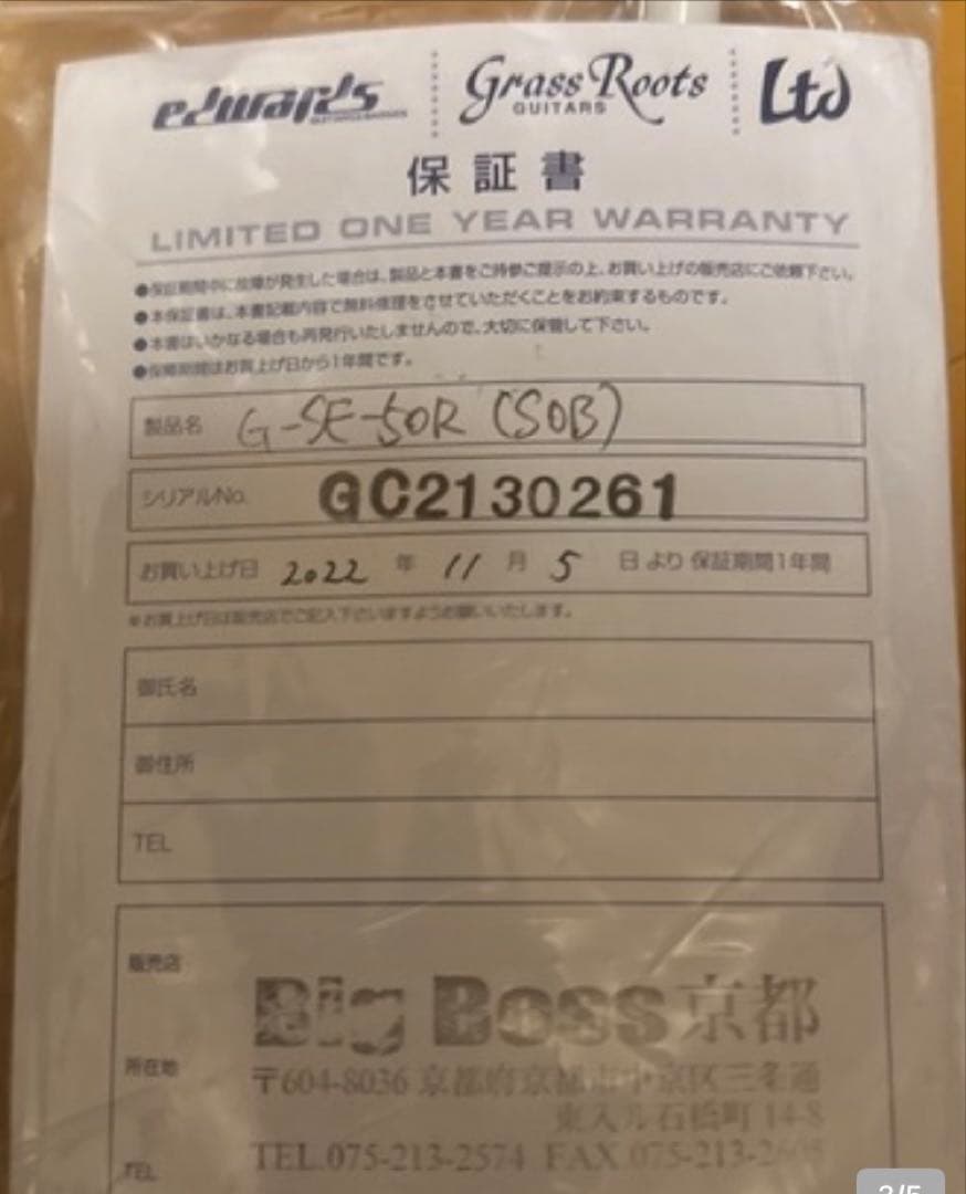GrassRoots グラスツール　エレキギター　アクアブルー　G-SE-50R