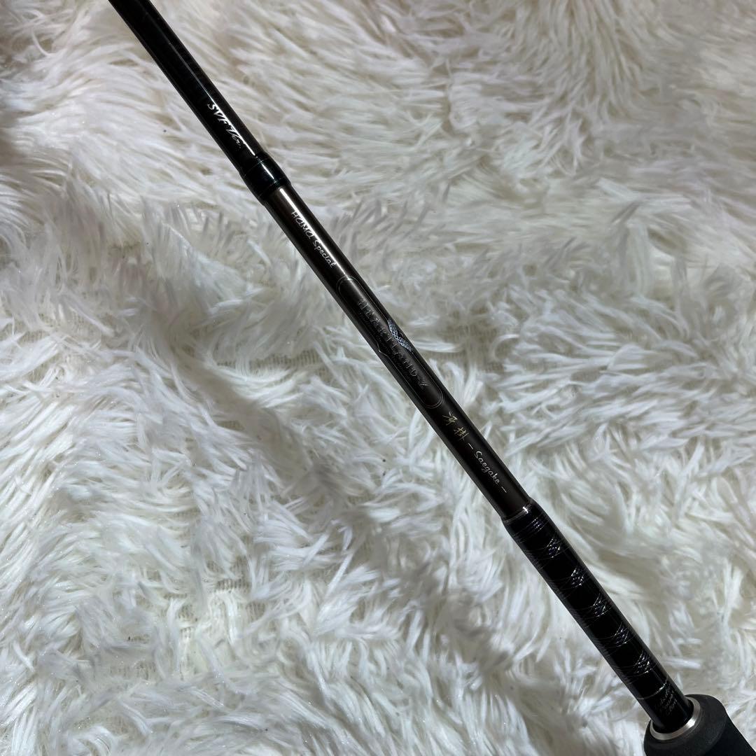 【希少/名竿/美品】ダイワ ハートランドZ 冴掛 浜スペシャル　SVF Ver.