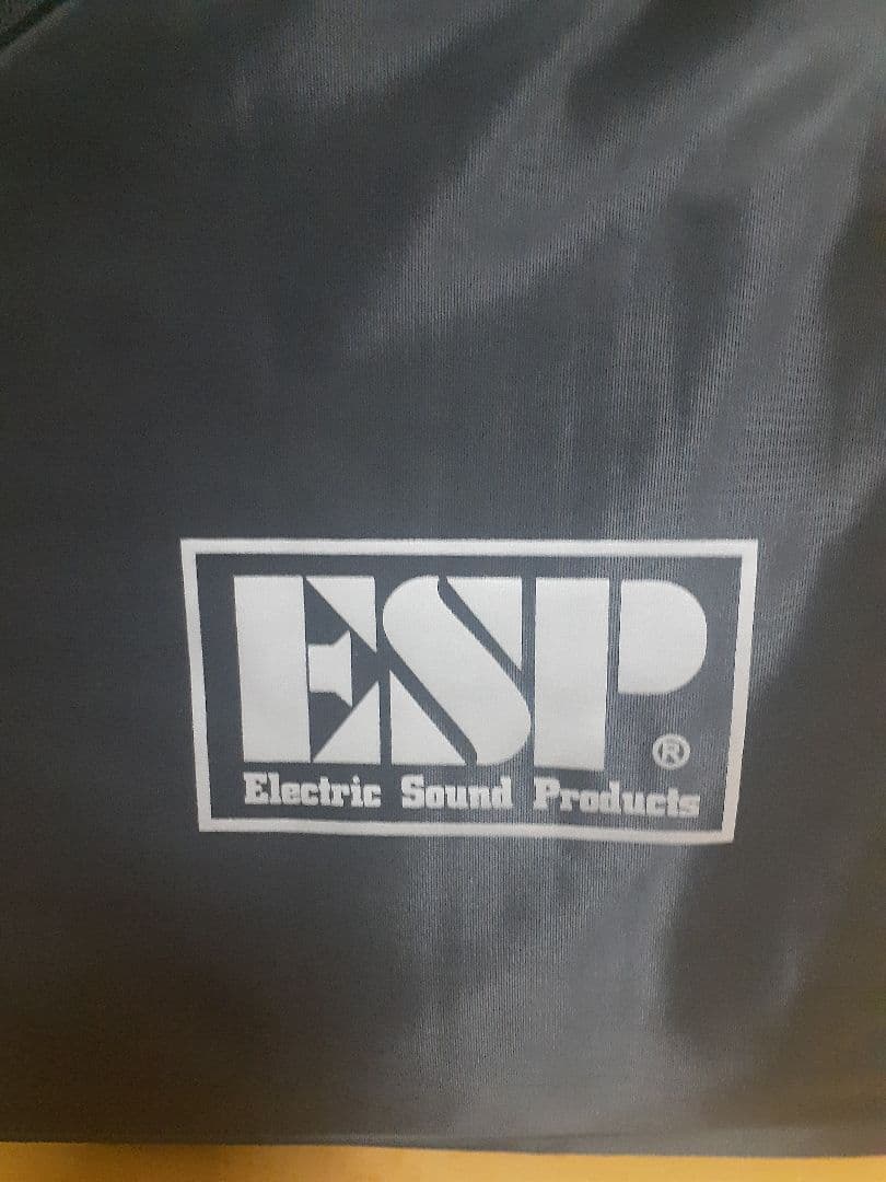 最終値下げ美品EDWARDS E-RS-145/M ランダムスター 高崎晃モデル