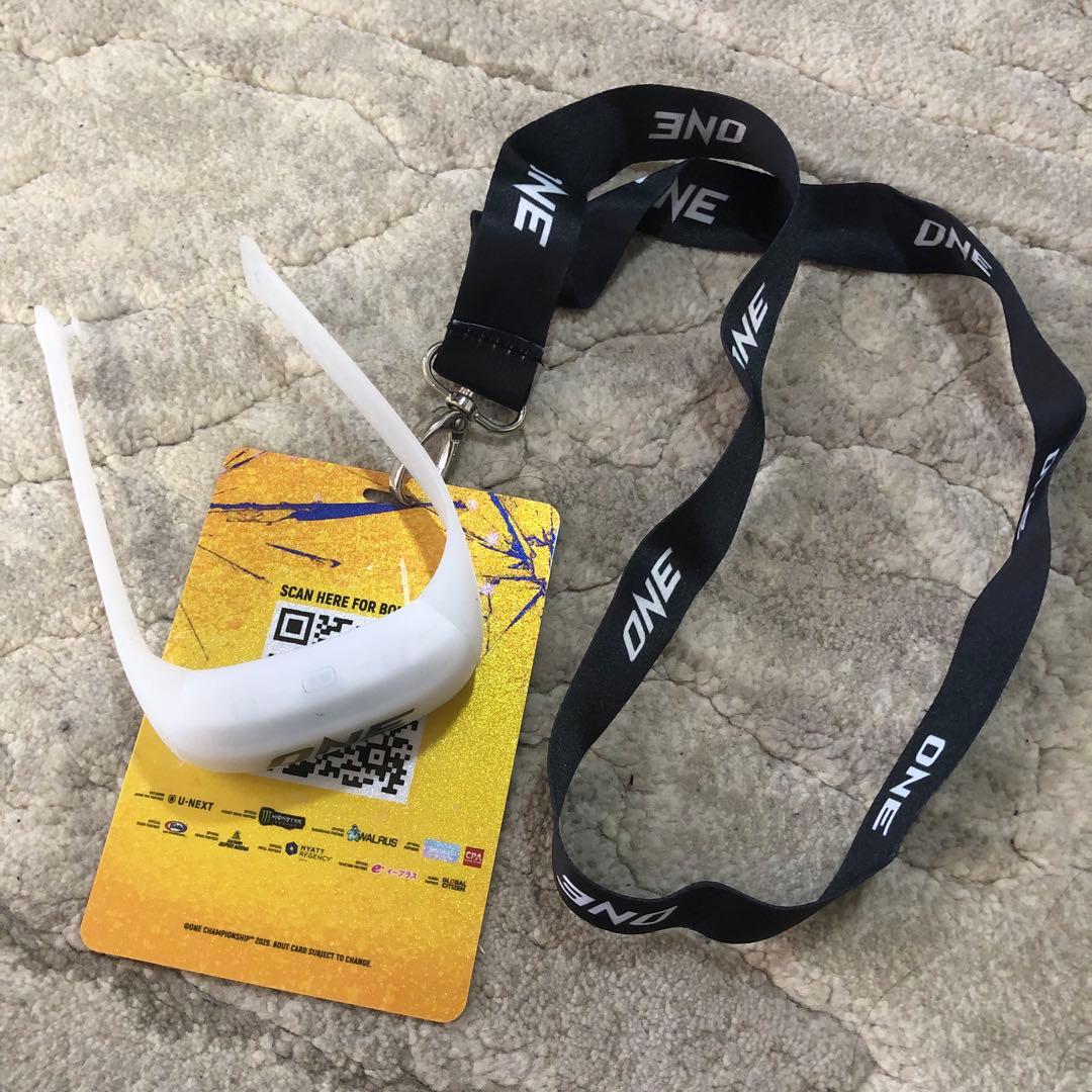 武尊vsロッタン直筆サイン入りスタンド入りONE173 VVIP限定特典セット