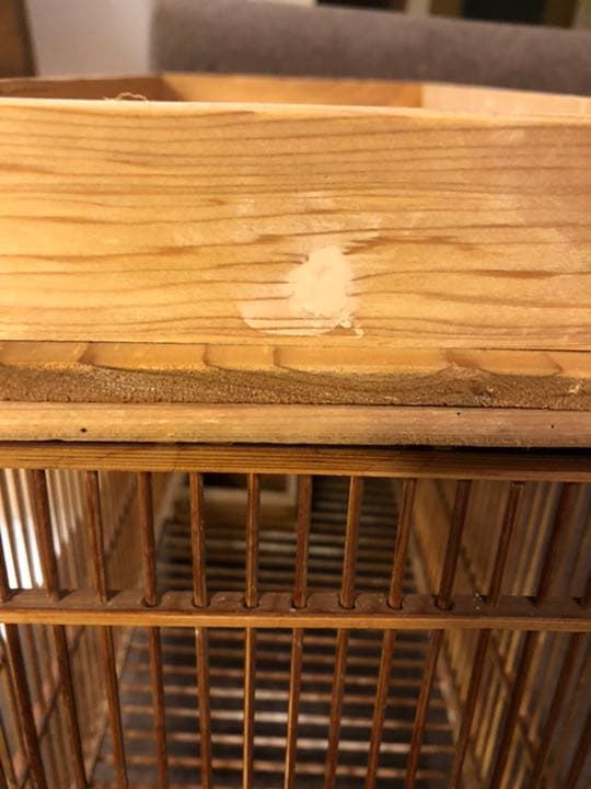 【入手困難】ミソサザイ専用竹籠