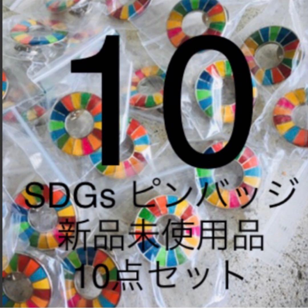 【国連本部純正品】10点　SDGs  ピンバッジ　【新品未使用】
