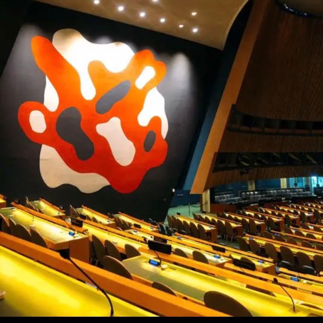 【国連本部純正品】10点　SDGs  ピンバッジ　【新品未使用】