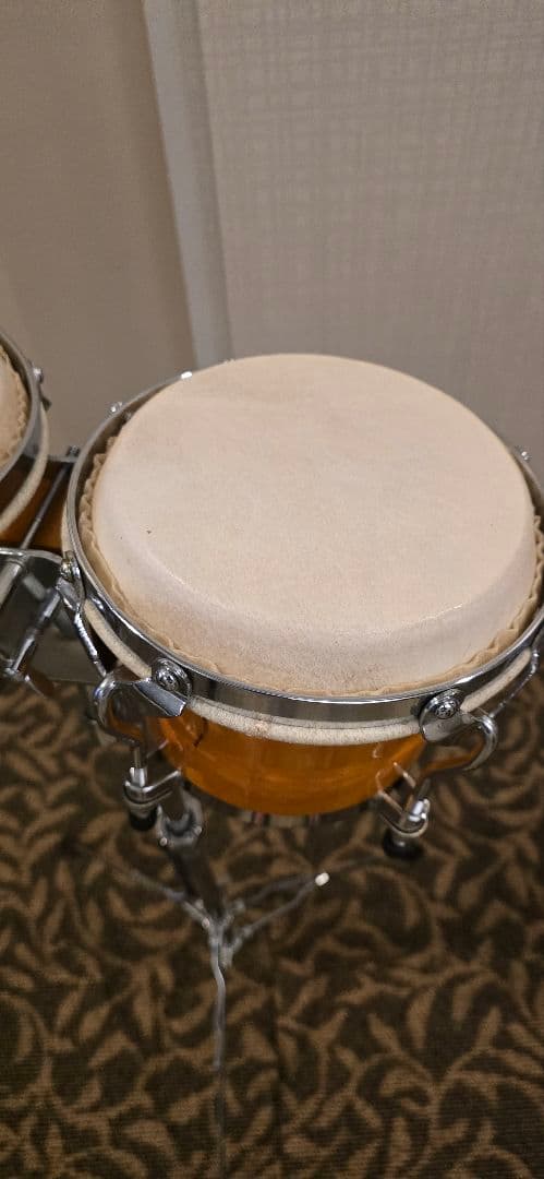 Zenn ボンゴ　ゼン スタンド付き