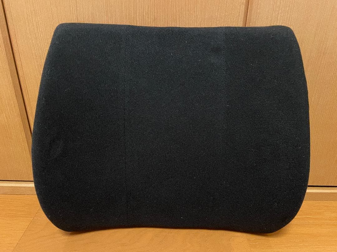 back huggar バックハガー　姿勢矯正　クッション　２点セット