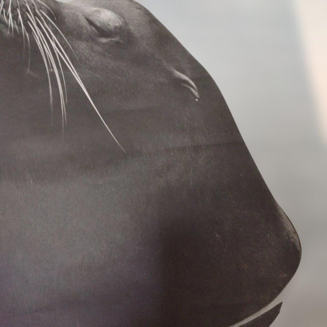 濱谷浩展 ポスター 写真体験60年