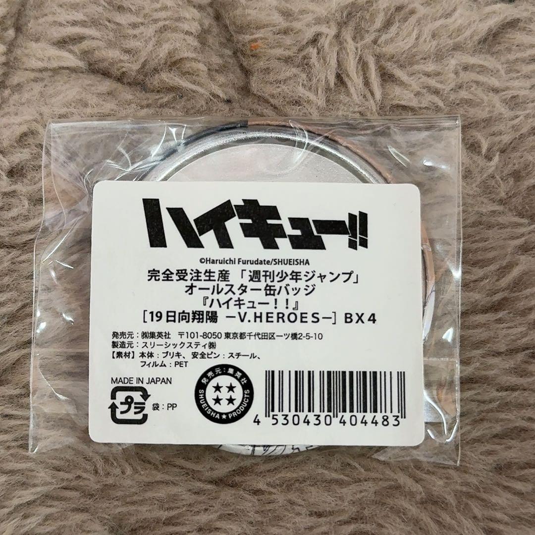 【ハイキュー!!】日向翔陽