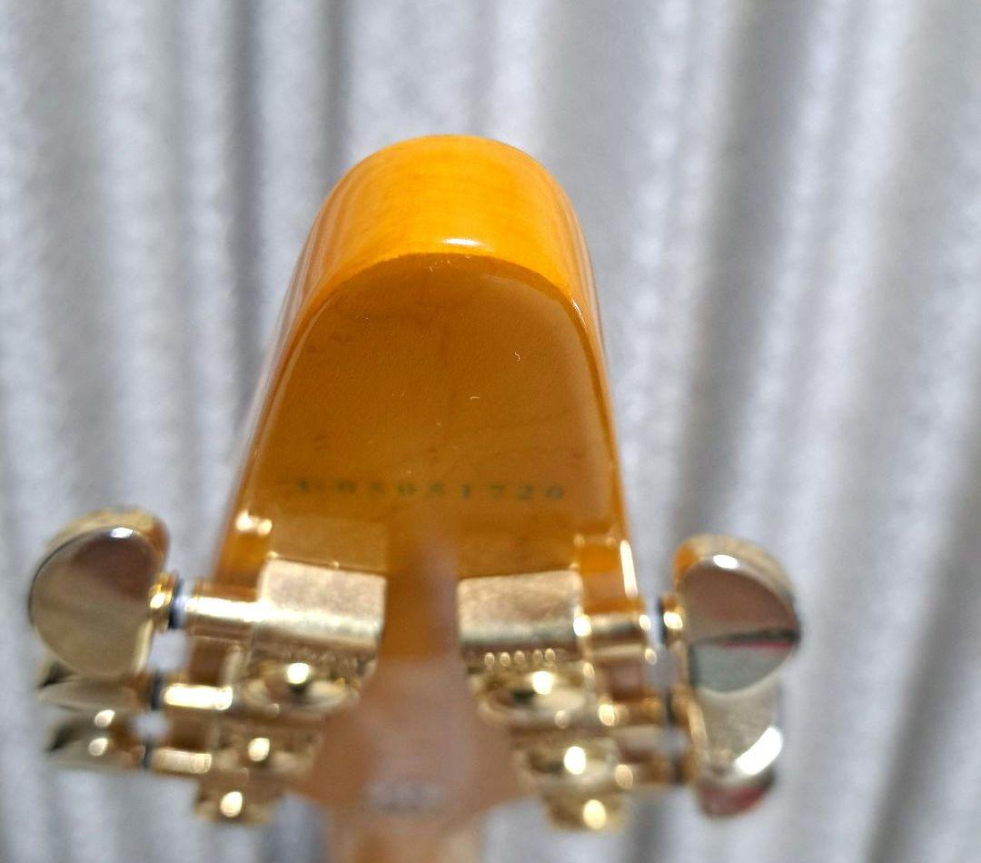 Epiphone 1958 korina Flying V コリーナハードケース