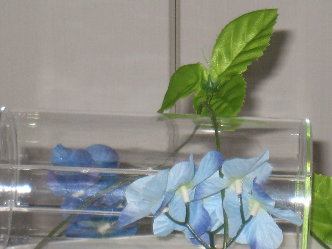 Canon　IXY 900IS PC1209 充電器　箱 コンデジ　動作品