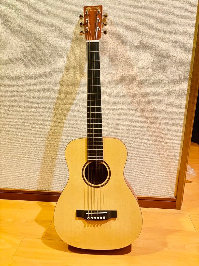 Martin & Co. アコースティックギター ギターケース付き