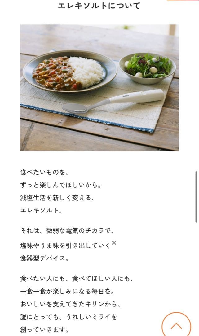 【新品未開封】エレキソルト スプーン ホワイト