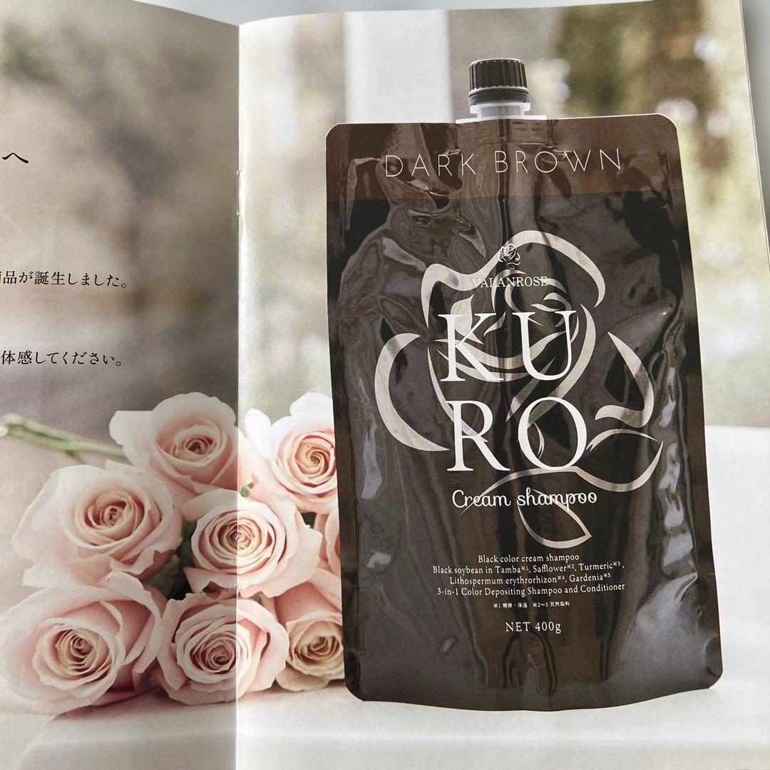 DARK BROWN カラシャンプー 400g 2個セット