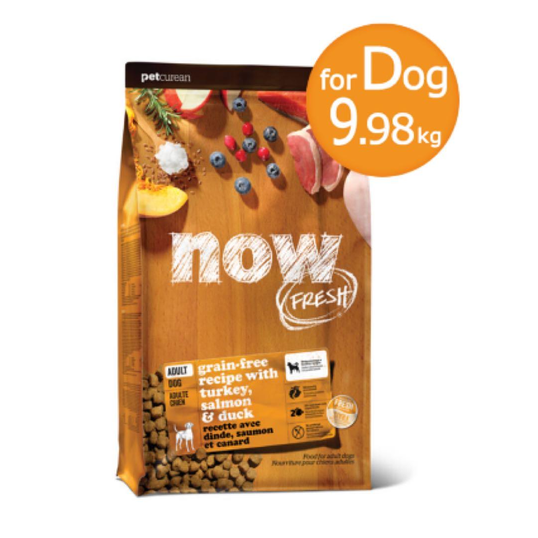 NOW FRESH ナウフレッシュ グレインフリー　アダルト（9.98kg）