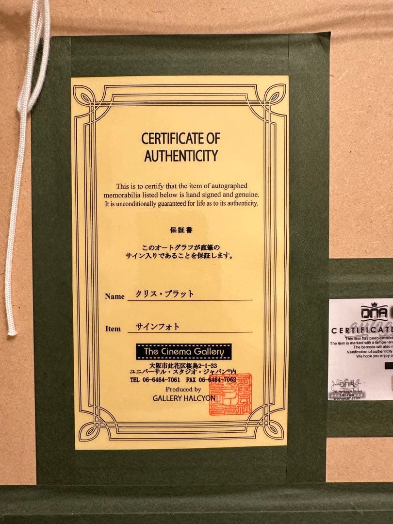 【直筆サイン】クリスプラット　アベンジャーズ　ピータークイル