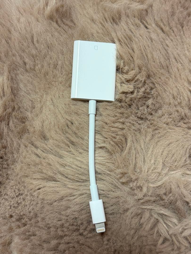 CASIO EXILIM デジタルカメラ 本体 + 付属品