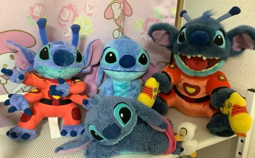 専用です。あひる付きスティッチ。