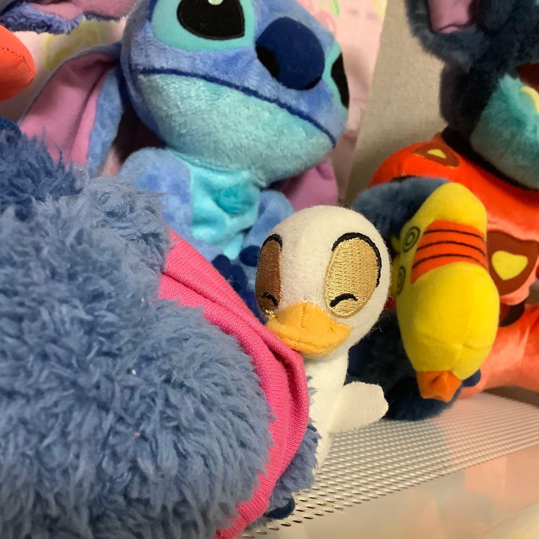 専用です。あひる付きスティッチ。