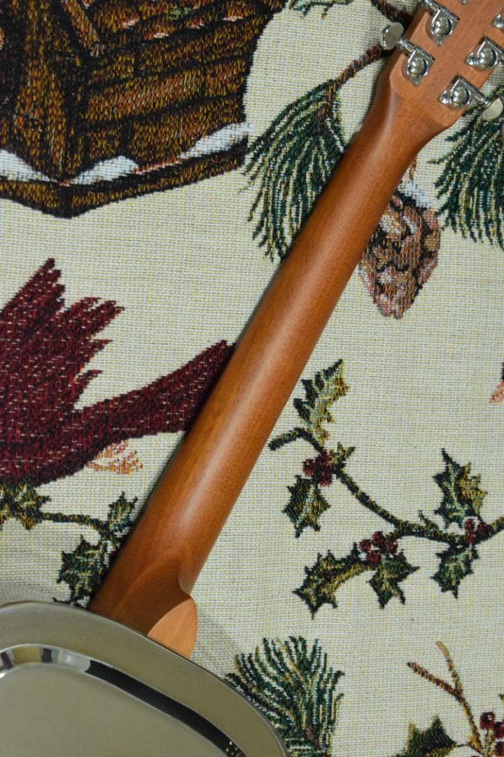 ギター Epiphone Dobro Hound Dog M-14 l Body