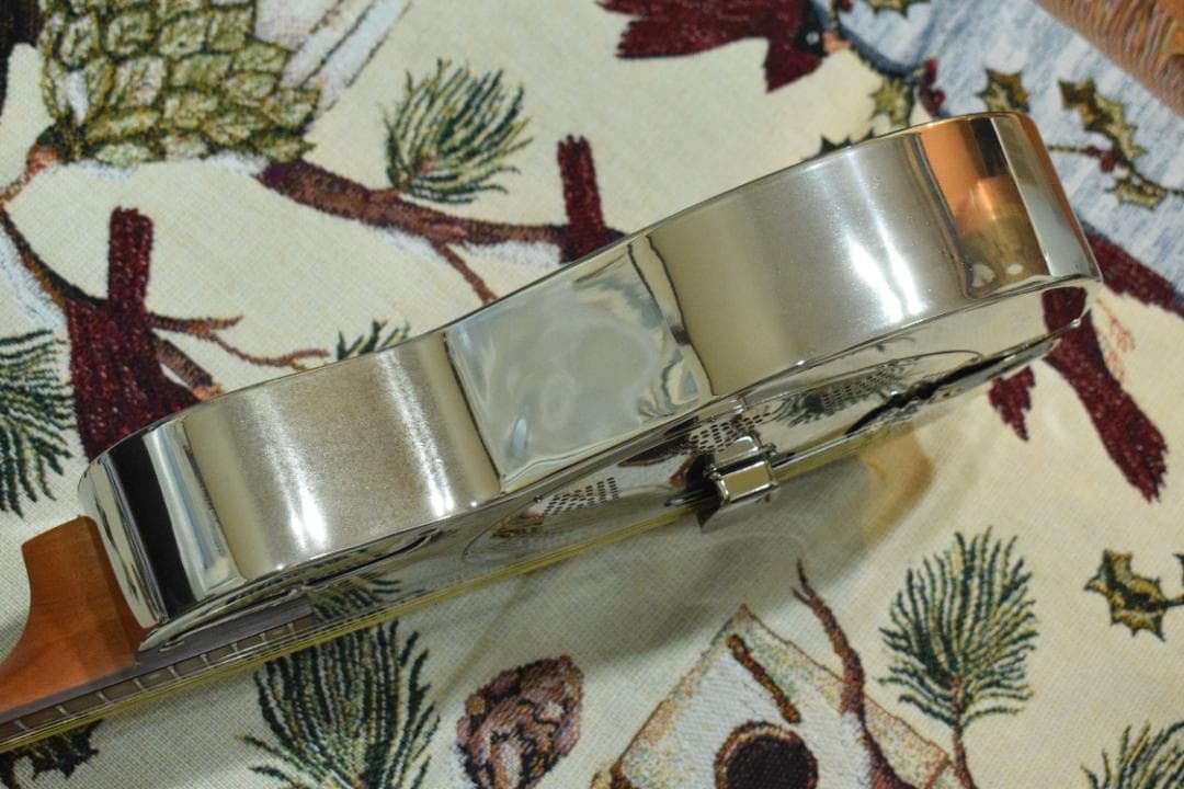 ギター Epiphone Dobro Hound Dog M-14 l Body