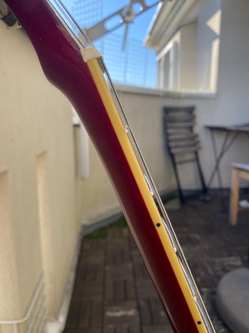 Grass Roots Limited Model (レスポールタイプ)