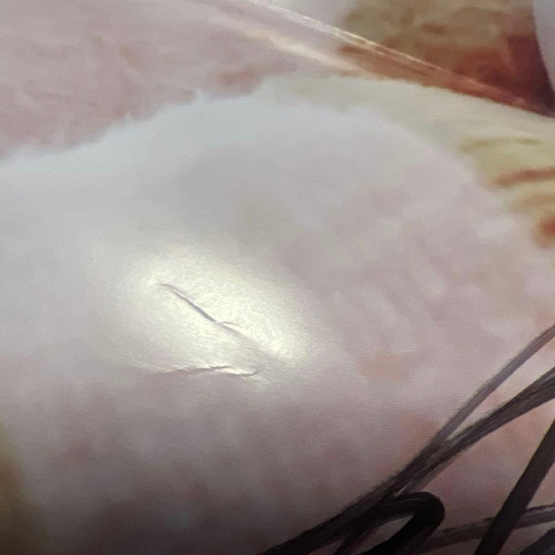 【534】ロウン 直筆サイン入りポスター