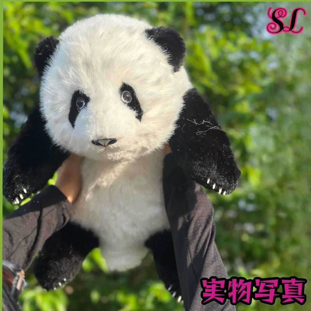 パンダ　リアルで癒される！5ヶ月齢パンダ ぬいぐるみ登場 ファファ まるで本物！