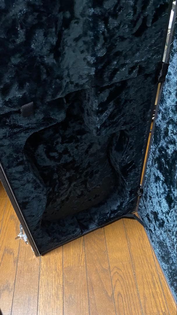 8弦　Ibanez RG Prestige RG2228A