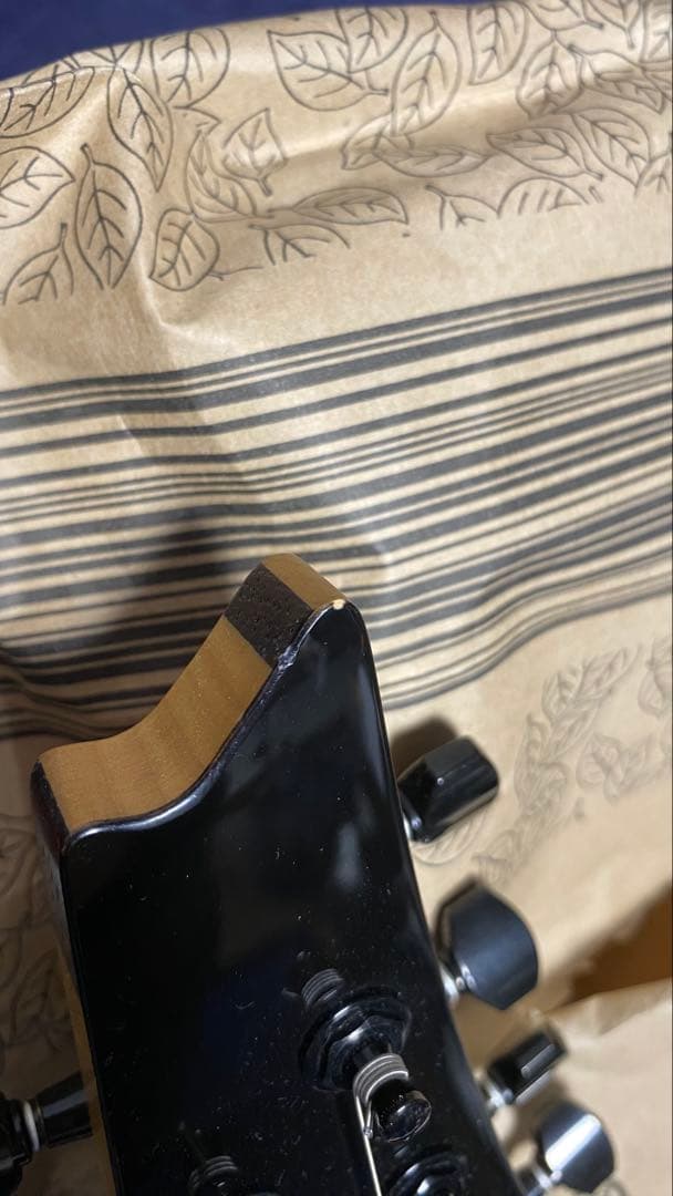 8弦　Ibanez RG Prestige RG2228A